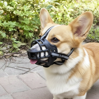 Dog Muzzle