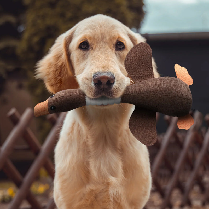 Eco-Friendly Indestructible Dog Toy – Durable and Safe Pet Accessory Suitable for All Breeds