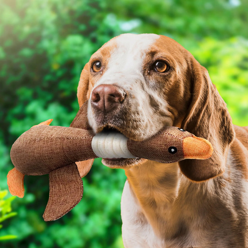 Eco-Friendly Indestructible Dog Toy – Durable and Safe Pet Accessory Suitable for All Breeds