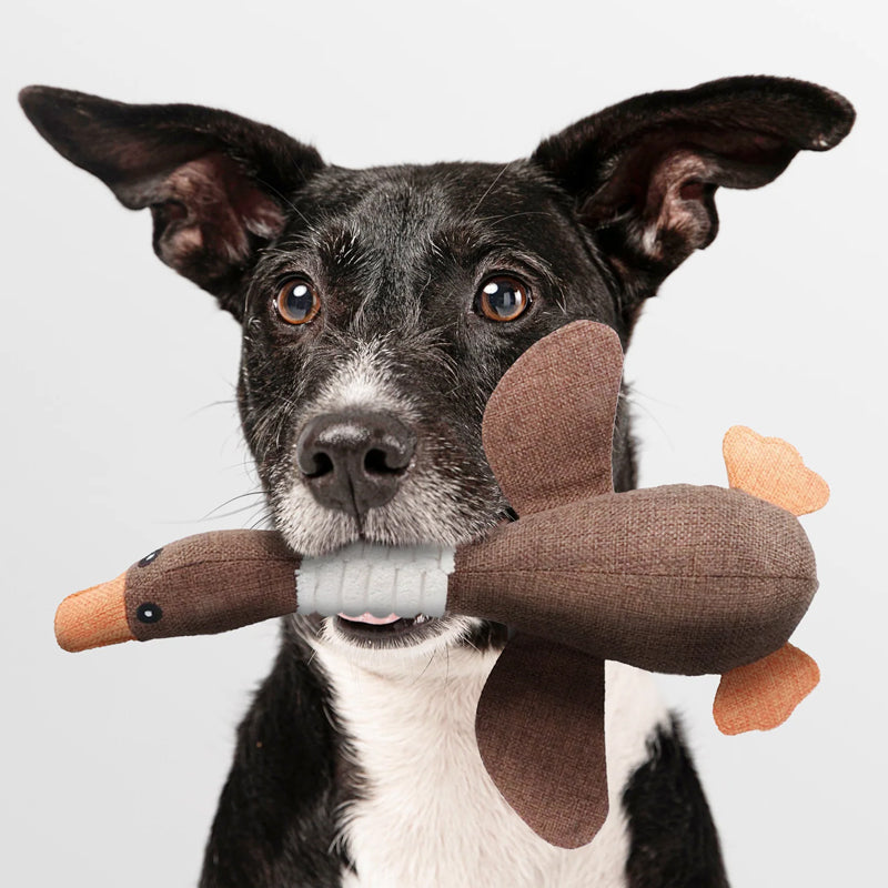Eco-Friendly Indestructible Dog Toy – Durable and Safe Pet Accessory Suitable for All Breeds