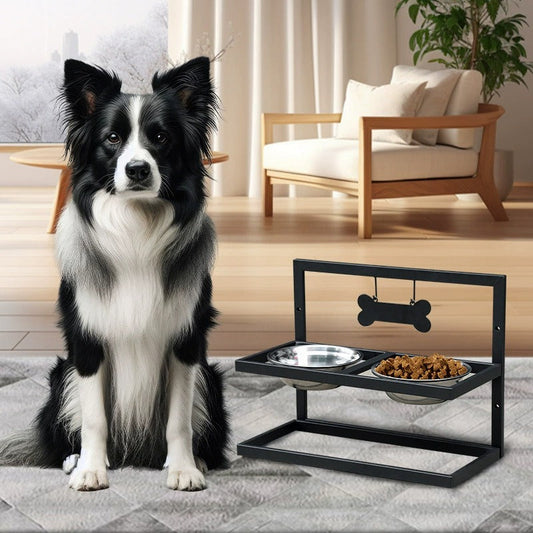 Elevated Dog Feeder with 2 Bowls