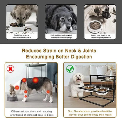 Elevated Dog Feeder with 2 Bowls
