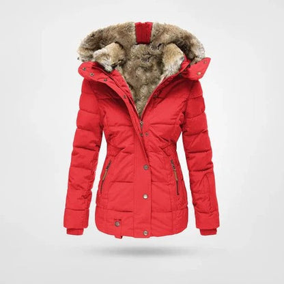 Elna | Women's Lined Padded Hooded Jacket