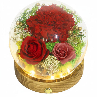 Preserved Rose Glass Dome with Integrated LED Lights